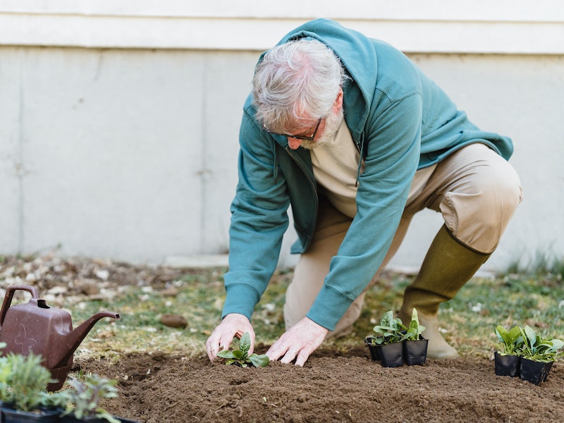 Дачный лайфхак февраля: зола для здоровой земли