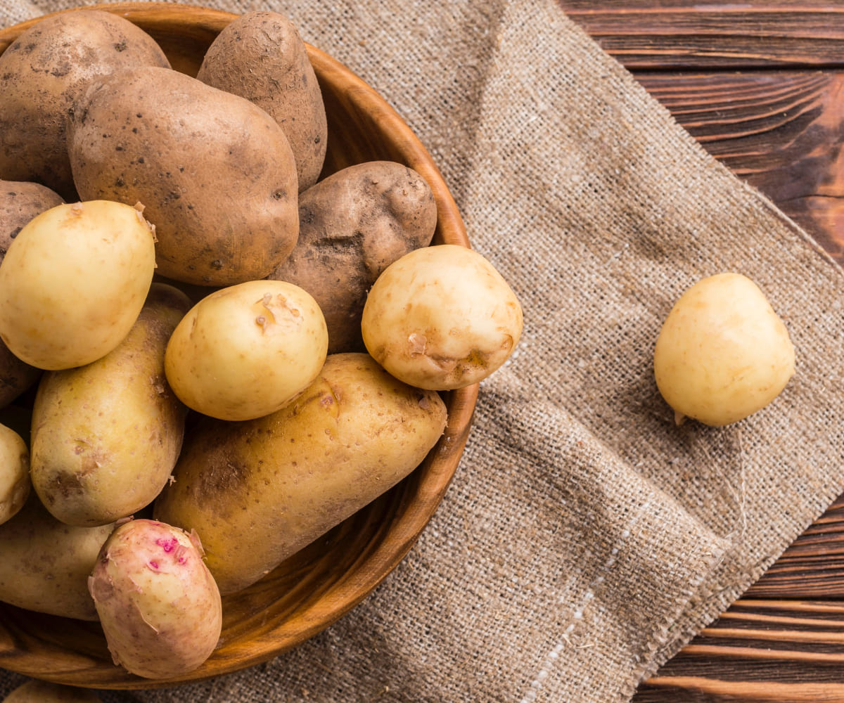 Выращивание картофеля в стаканчиках — урожай на месяц раньше обычного