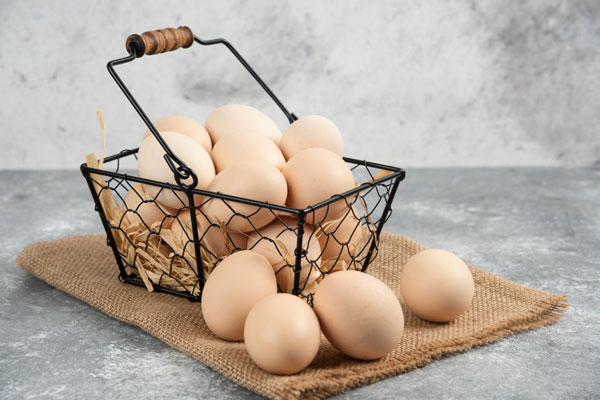 Яичная скорлупа в огороде: польза, которой никто не ждёт | Почему яичную скорлупу в огороде используют неправильно: мнение эксперта