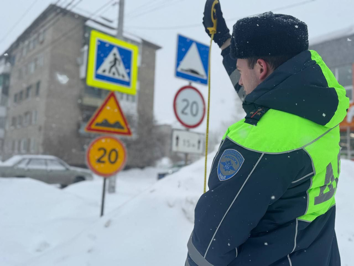 Почему гаишники часто толстые: научное и житейское объяснение | Почему сотрудники ДПС часто имеют лишний вес: реальные причины