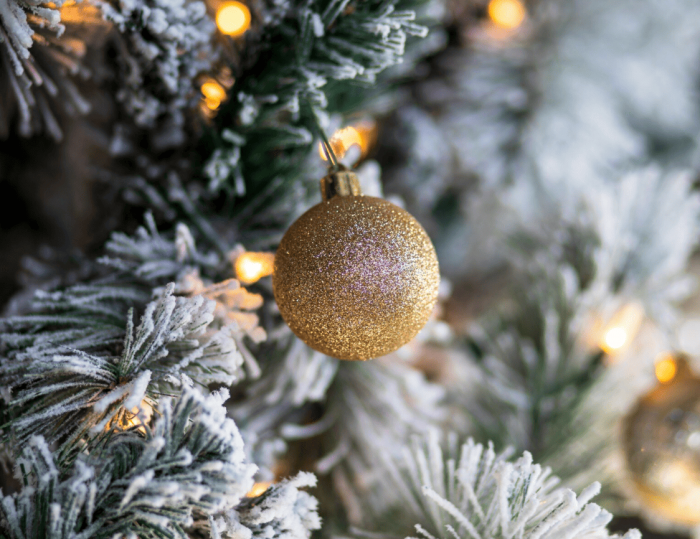 Бизнес в России сокращает бюджеты на новогодние корпоративы | От двухдневных банкетов к однодневным: как меняются новогодние традиции в компаниях